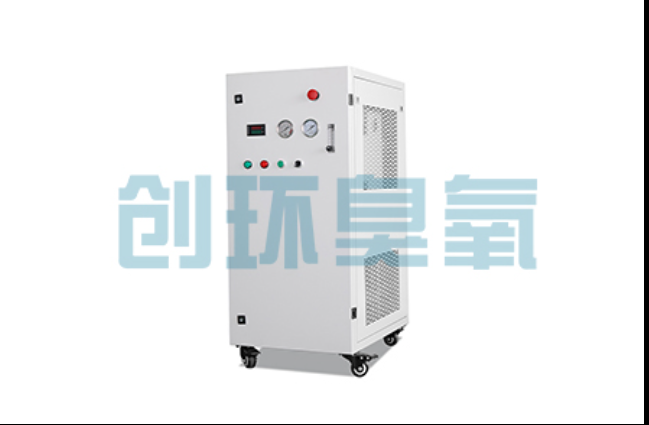 青龙工厂化养鲈必看：2026年臭氧发生器替代传统消毒的最新方案