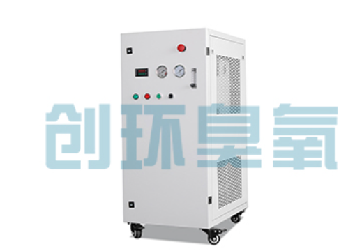 青龙石斑鱼养殖水质调控完整指南:臭氧发生器配置与操作步骤