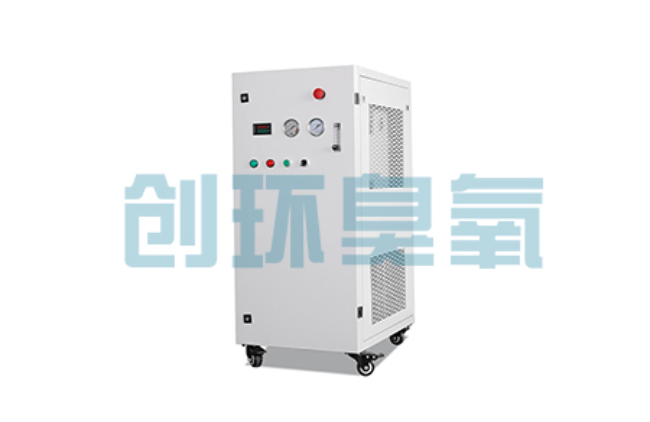 青龙比传统换水更高效?臭氧发生器在石斑鱼养殖中的水质净化原理解析