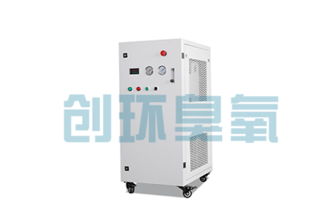 青龙比传统换水更高效?臭氧发生器在石斑鱼养殖中的水质净化原理解析